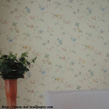 wallpaper䫹 ໤ Թ