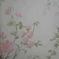 wd2 wallpaper ҤҶ١ ش 1