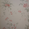 wd2 wallpaper ҤҶ١ ش 1