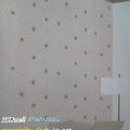 wd2 wallpaperԴѧ ´͡ Թ෨ Ԥ ҹ