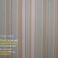 wd2 wallpaperԴѧ  ·ҧ