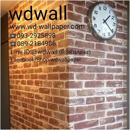 WD2  wallpaperԴѧ ҤҶ١ ͺ´ҤͷŹ3ŹФ